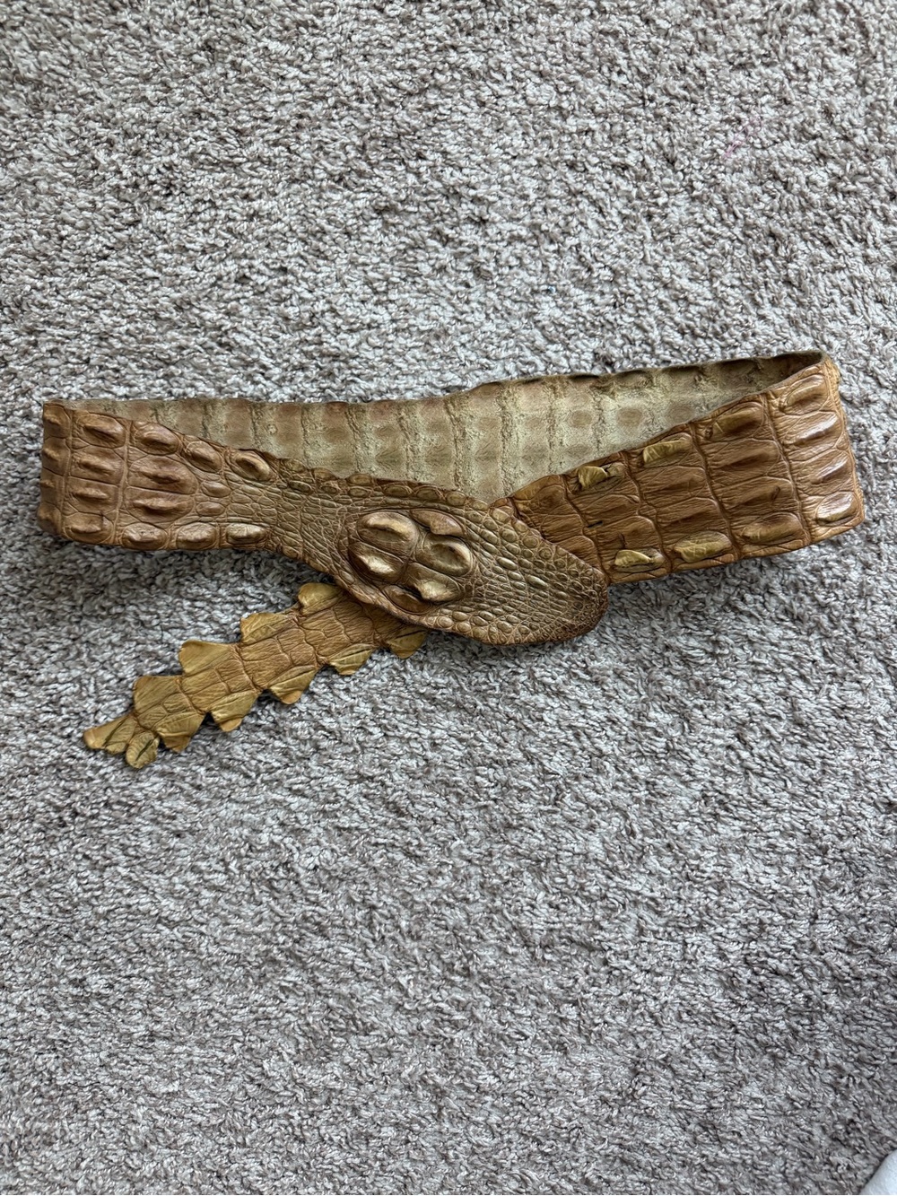 Roberto Cavalli Crocodile- skin Waist Belt in Brown